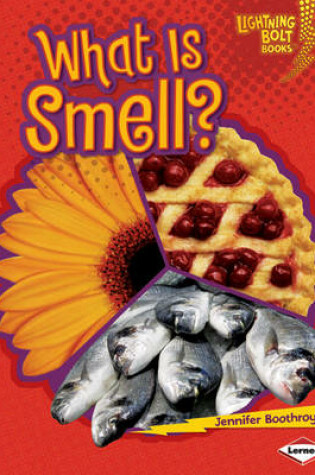 Cover of What is Smell?