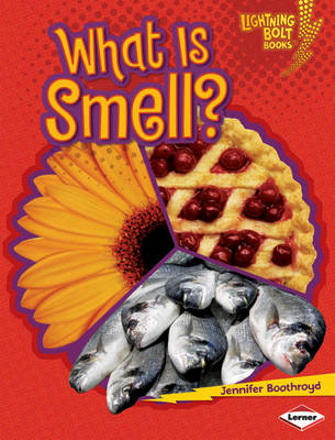 Cover of What is Smell?