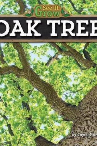 Cover of Oak Tree