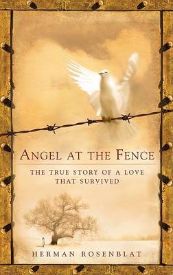 Book cover for Angel at the Fence