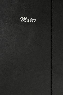 Book cover for Mateo