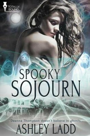 Cover of Spooky Sojourn