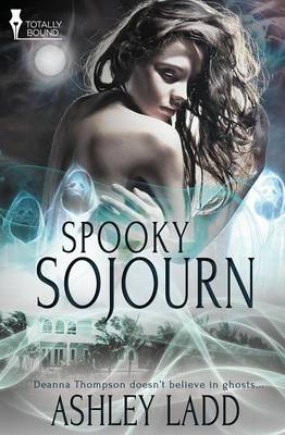 Book cover for Spooky Sojourn