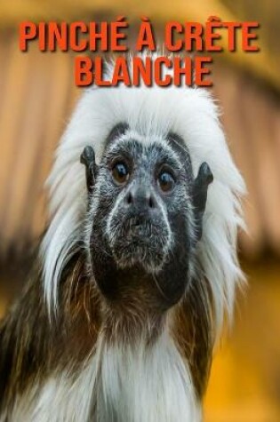 Cover of Pinché à Crête Blanche