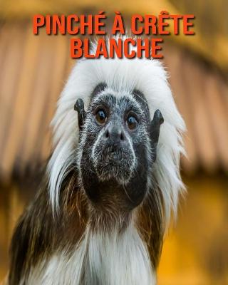 Book cover for Pinché à Crête Blanche