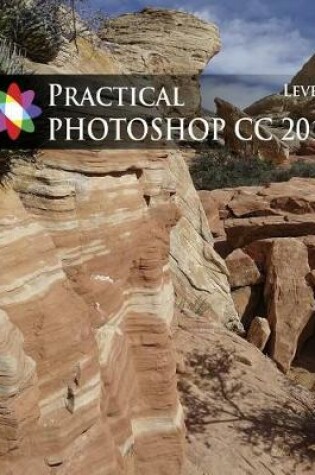 Cover of Practical Photoshop 2015 Level 1