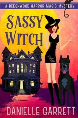 Cover of Sassy Witch