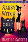 Book cover for Sassy Witch