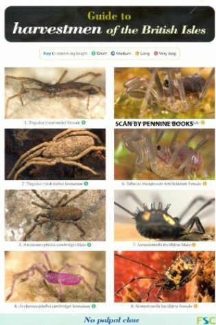 Cover of Guide to Harvestmen of the British Isles