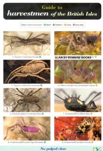 Book cover for Guide to Harvestmen of the British Isles