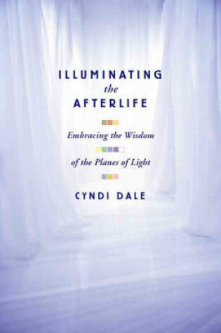 Cover of Illuminating the Afterlife