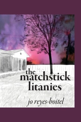 Cover of The matchstick litanies