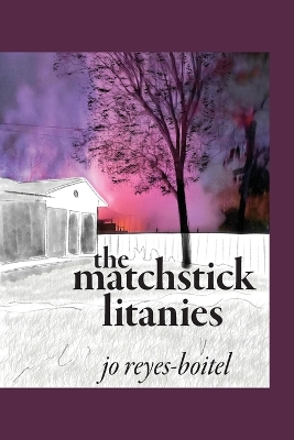 Cover of The matchstick litanies