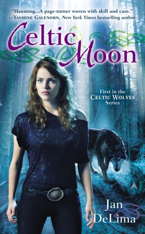 Book cover for Celtic Moon