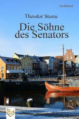 Cover of Die S hne des Senators (Gro druck)