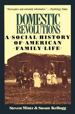 Book cover for Domestic Revolutions