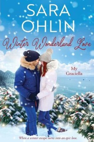 Cover of Winter Wonderland Love