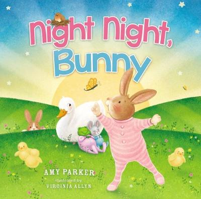 Book cover for Night Night, Bunny