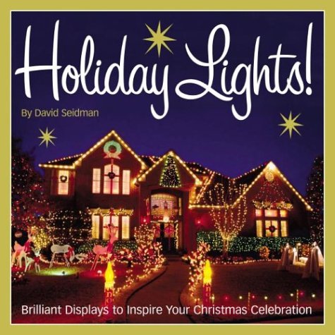 Book cover for Holiday Lights