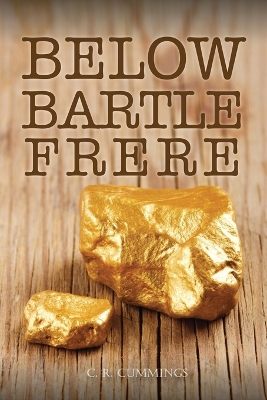 Book cover for Below Bartle Frere