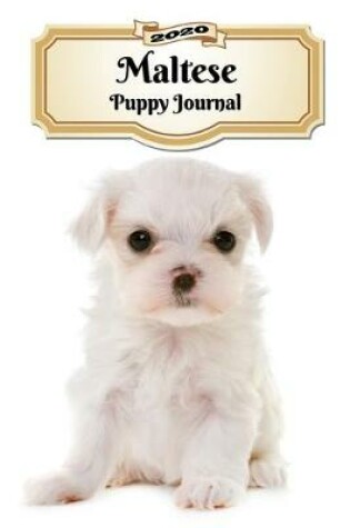 Cover of 2020 Maltese Puppy Journal