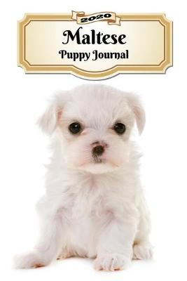 Book cover for 2020 Maltese Puppy Journal