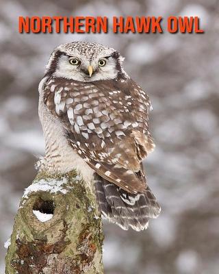 Book cover for Northern Hawk Owl