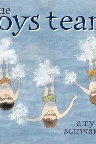 Cover of Boys Team