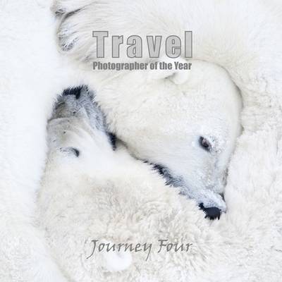 Book cover for Journey Four