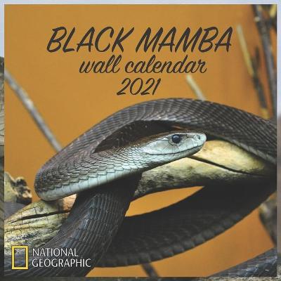 Book cover for Black Mamba Wall Calendar 2021