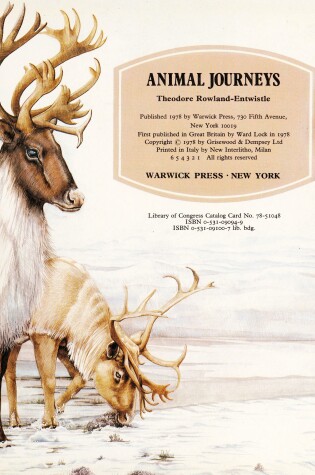 Cover of Animal Journeys