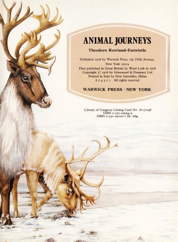 Cover of Animal Journeys