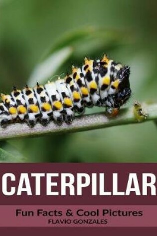 Cover of Caterpillar