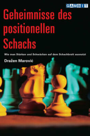 Cover of Geheimnisse Des Positionellen Schachs