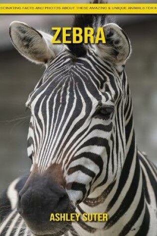 Cover of Zebra