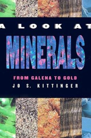 Cover of A Look at Minerals