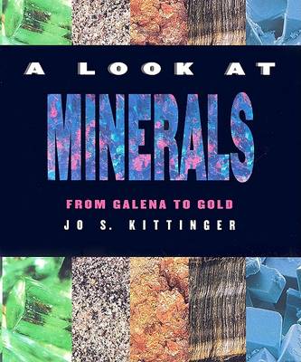 Book cover for A Look at Minerals