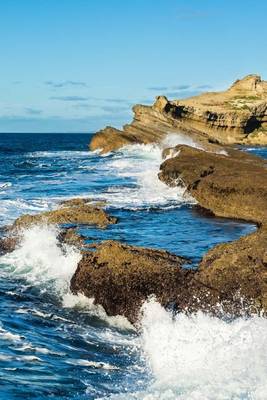 Book cover for Castlepoint Reef Wairarapa New Zealand Journal