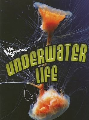 Book cover for Underwater Life