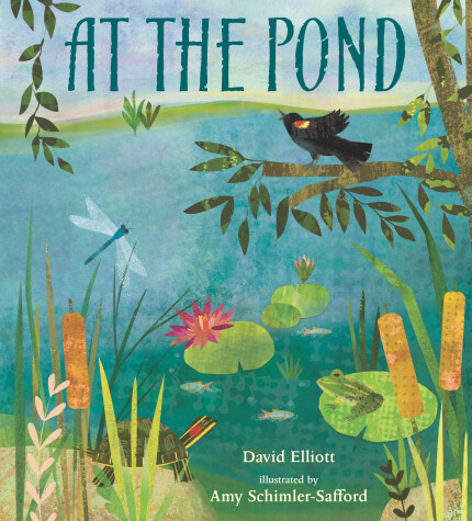Book cover for At the Pond