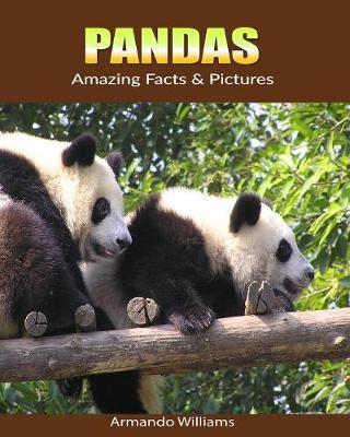 Book cover for Pandas