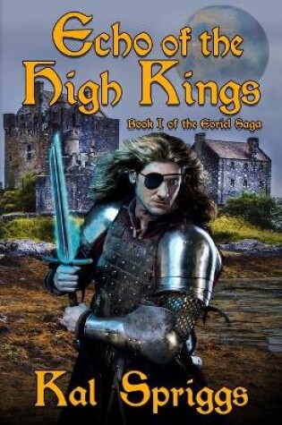 Cover of Echo of the High Kings