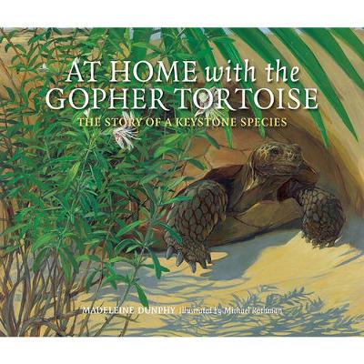 Book cover for At Home with the Gopher Tortoise