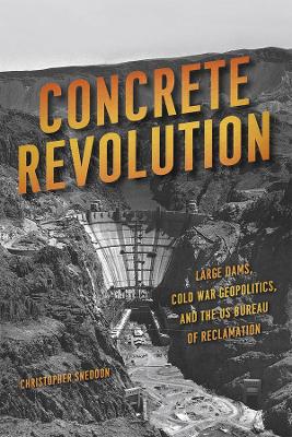 Book cover for Concrete Revolution