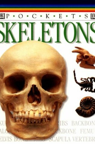 Cover of Skeletons