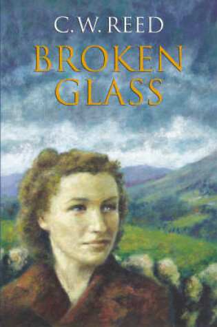 Cover of Broken Glass