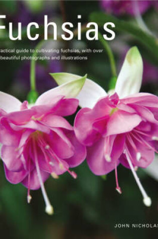 Cover of Fuchsias