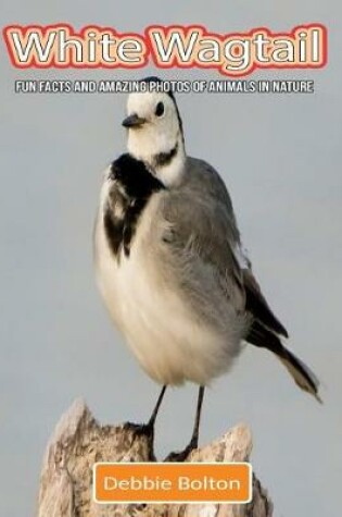 Cover of White Wagtail