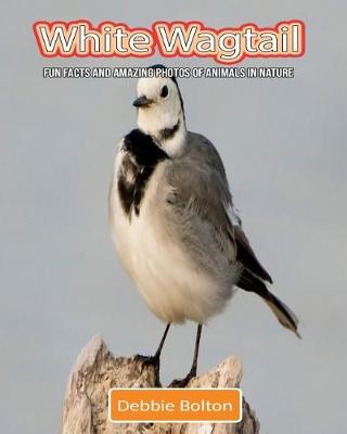 Book cover for White Wagtail