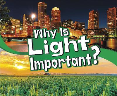 Book cover for Why Is Light Important?